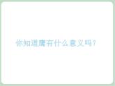 苏少版音乐五上 《飞驰的雄鹰》课件