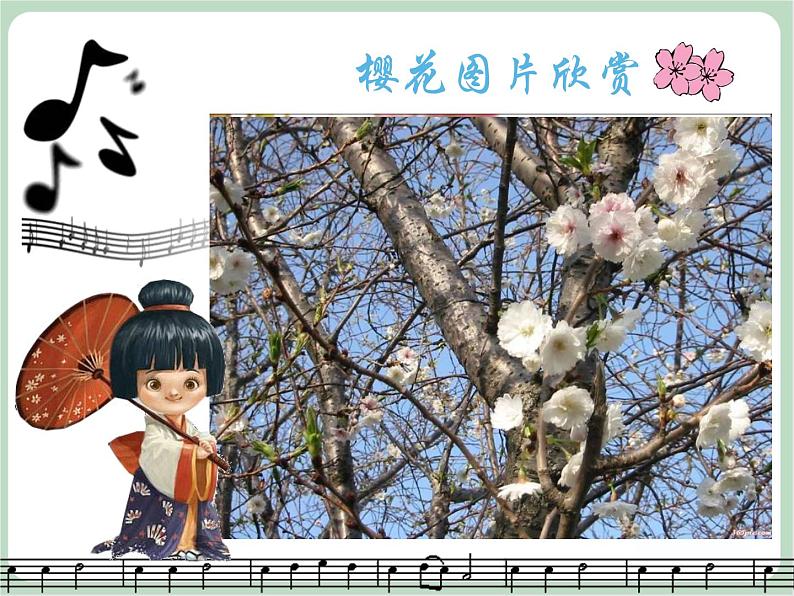 苏少版音乐五上 《樱花谣》课件03