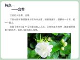 苏少版音乐五上 江苏民歌的特点  课件
