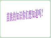 苏少版音乐五上 湘西少数民族苗族的介绍  课件