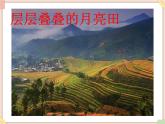 接力版小学音乐一年级上册5.1《月亮田》课件