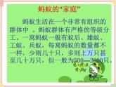 接力版小学音乐二年级上册1.4《蚂蚁短，蚂蚁长（齐唱）》课件
