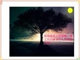 接力版小学音乐三年级上册2.4《萤火虫》课件