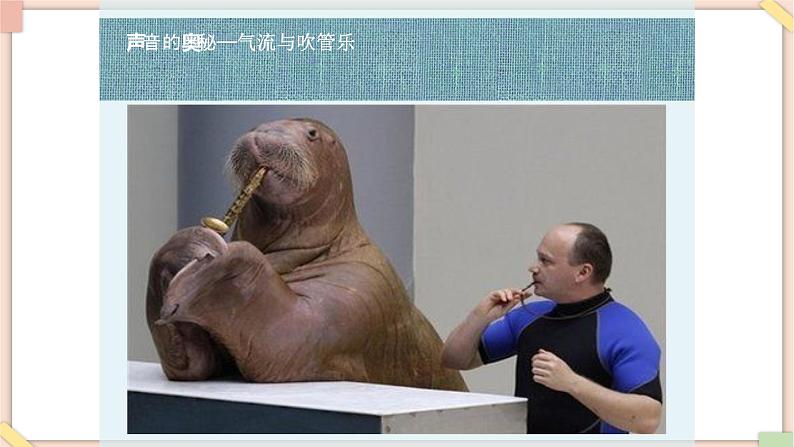 接力版小学音乐三年级上册3.1《声音的奥秘》) 课件08