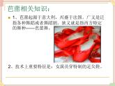 接力版小学音乐四年级上册6.2《四小天鹅舞曲》课件
