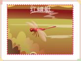 接力版小学音乐五年级上册4.3《红蜻蜓》课件第一课时