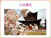接力版小学音乐五年级上册4.3《红蜻蜓》课件第一课时