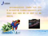 【核心素养目标】人音版（2013）音乐四上 划龙船 课件+教学设计+素材