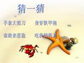 二年级上册音乐课件－10.1螃蟹歌 ｜花城版