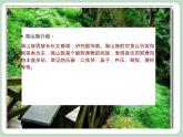 苏少版4上音乐 第一单元《歌表演（我的祖家是歌乡）》课件+教案+音视频+简介