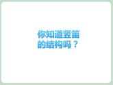 苏少版4上音乐 第二单元《竖笛练习（二）》课件+教案+音视频+简介