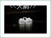 苏少版4上音乐 第四单元《天鹅》教案课件+音视频+简介