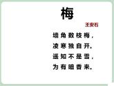 苏少版4上音乐 第八单元《踏雪寻梅》课件+音视频+简介