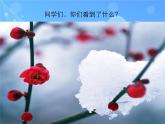 人教新课标五年级下册音乐课件第五单元古韵新声(简谱版)《梅花》(共9张PPT)