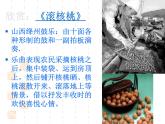 人教新課標五年級下冊音樂課件第二單元五十六朵花《錦雞出山》(共15張PPT)
