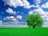二年级下册音乐课件-《郊游》2-人教新课标-(共11张PPT)
