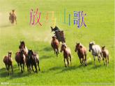 三年級上冊音樂課件-第二單元-放馬山歌-｜人教新課標(2014秋)-(共15張PPT)