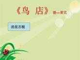 三年级上册音乐课件-第六单元-鸟店-｜人教新课标(2014秋)-(共11张PPT)