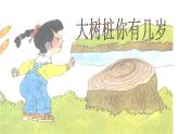 三年级上册音乐课件-第六单元《大树桩你有几岁》｜人教新课标(2014秋)---(共11张PPT)