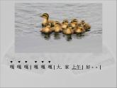 三年级上册音乐课件-第六单元-大树桩你有几岁-｜人教新课标(2014秋)-(共21张PPT)