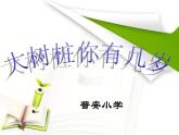 三年级上册音乐课件-6唱歌-大树桩你有几岁-人教新课标(2014秋)(共20张PPT)