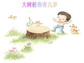 三年级上册音乐课件-第六单元-大树桩你有几岁-｜人教新课标(2014秋)-(共14张PPT)