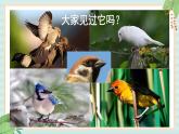 西师大音乐二上 第2单元：唱歌《小麻雀》课件+音频