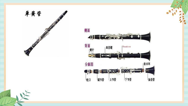 西师大音乐三上 第1单元：欣赏《龟兔赛跑》课件02