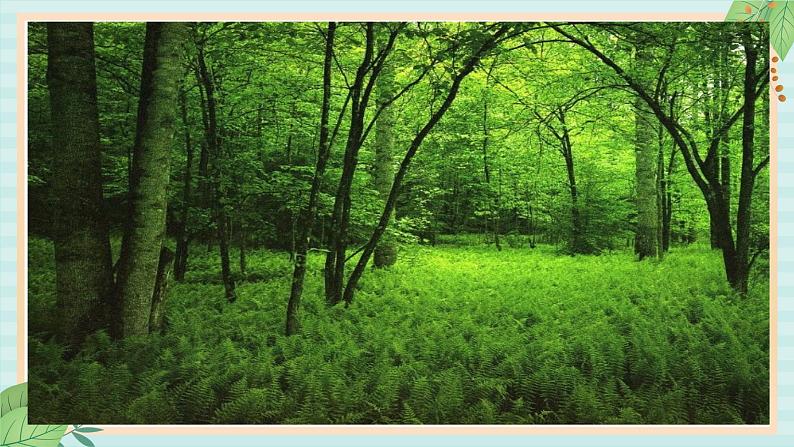 西师大音乐三上 第1单元：欣赏《我们爱森林》课件02