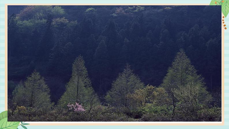 西师大音乐三上 第1单元：欣赏《我们爱森林》课件04