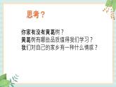 西师大音乐三上 第2单元：唱歌《黄葛树下有我家》课件