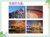 西师大音乐五上 美丽的鸟巢课件+音频