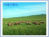人教版6上音乐 2.8 草原牧歌 课件