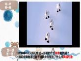 小学音乐 花城版 三年级 管弦乐曲《四小天鹅舞曲》课件