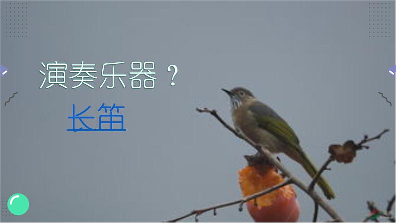 小学音乐 花城版 三年级 管弦乐曲《乌龟》课件03