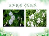 小学音乐 花城版 四年级 第2课 多采的乡音（四）《茉莉花》pptx 课件