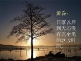 第十三周《美丽的黄昏》课件