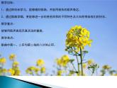 《四季童趣》課件