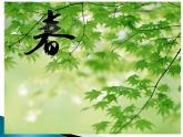 《四季童趣》課件