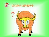 第七周《老水牛角彎彎》課件