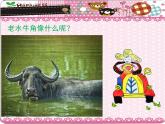 第七周《老水牛角彎彎》課件