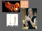 小学音乐 花城版 五年级 小号与弦乐 课件