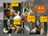 小学音乐 花城版 五年级 小号与弦乐 课件