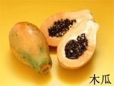 木瓜恰恰恰课件