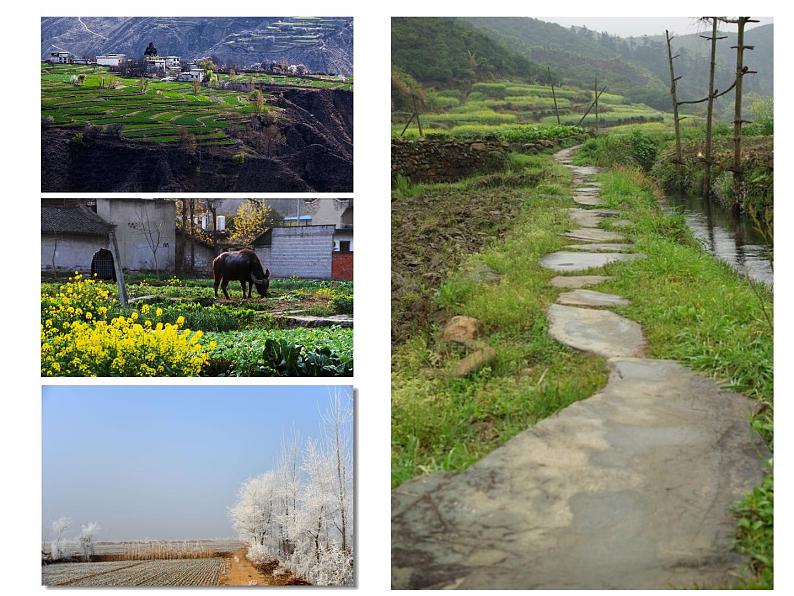 《乡间的小路》课件03