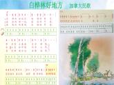 《白樺林好地方》課件