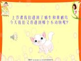 《跳圓舞曲的小貓》課件