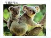 人教版音乐六年级下册第三单元 活动 环球之旅课件+教案+素材