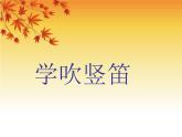 人音版音樂四年級(jí)下冊(cè)第3課 水鄉(xiāng) 5 學(xué)吹豎笛課件+教案+素材資源