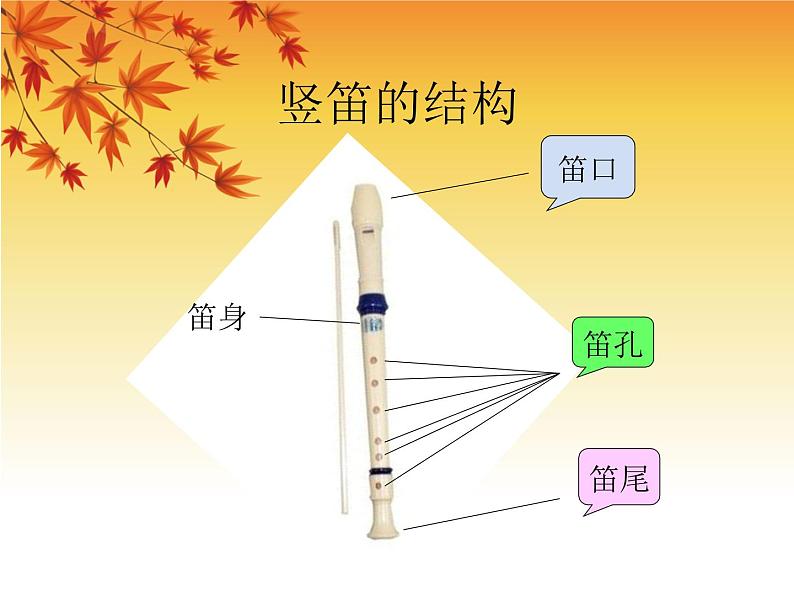 5 《学吹竖笛》课件第3页